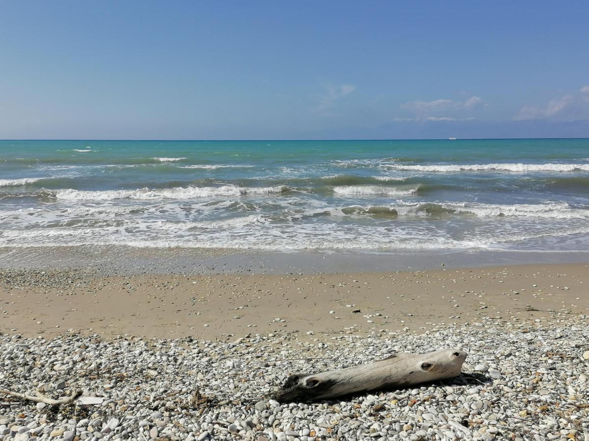Agapi Studio Acharavi A 50M De La Mer, 400M Du Centre Ville 外观 照片