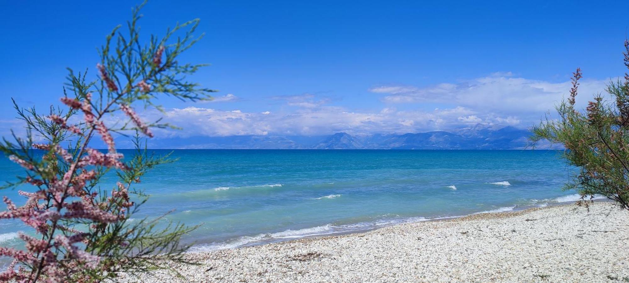 Agapi Studio Acharavi A 50M De La Mer, 400M Du Centre Ville 外观 照片