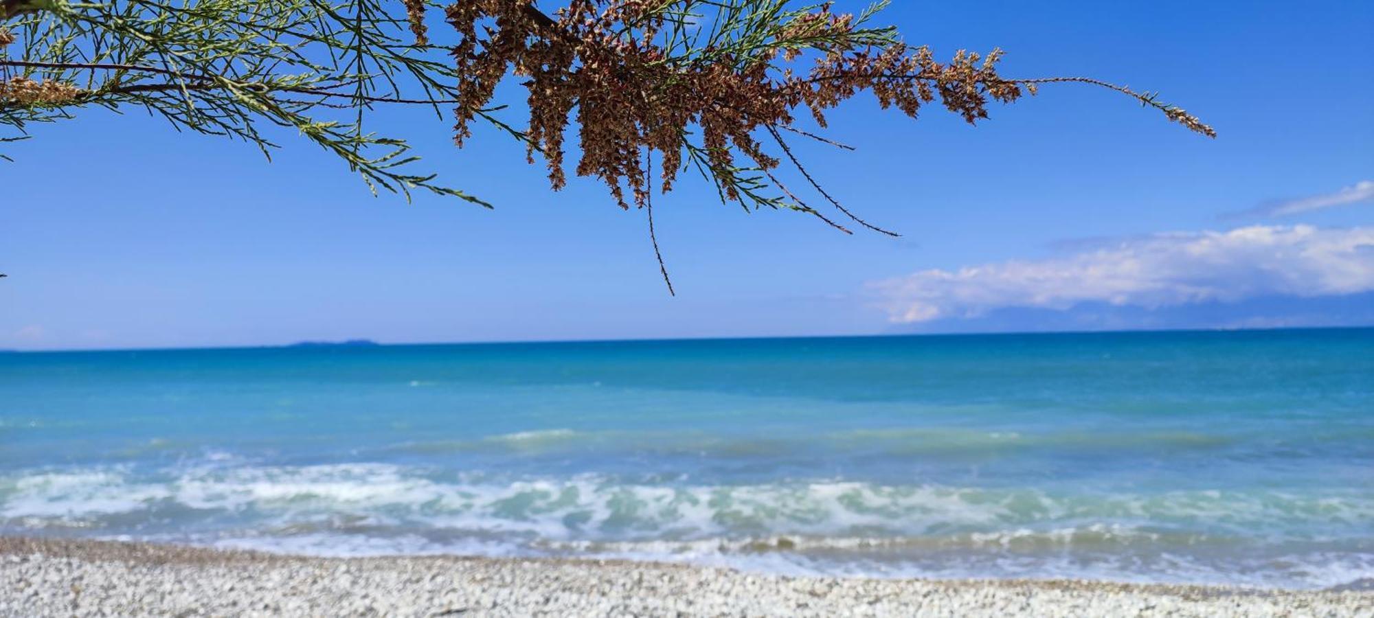 Agapi Studio Acharavi A 50M De La Mer, 400M Du Centre Ville 外观 照片
